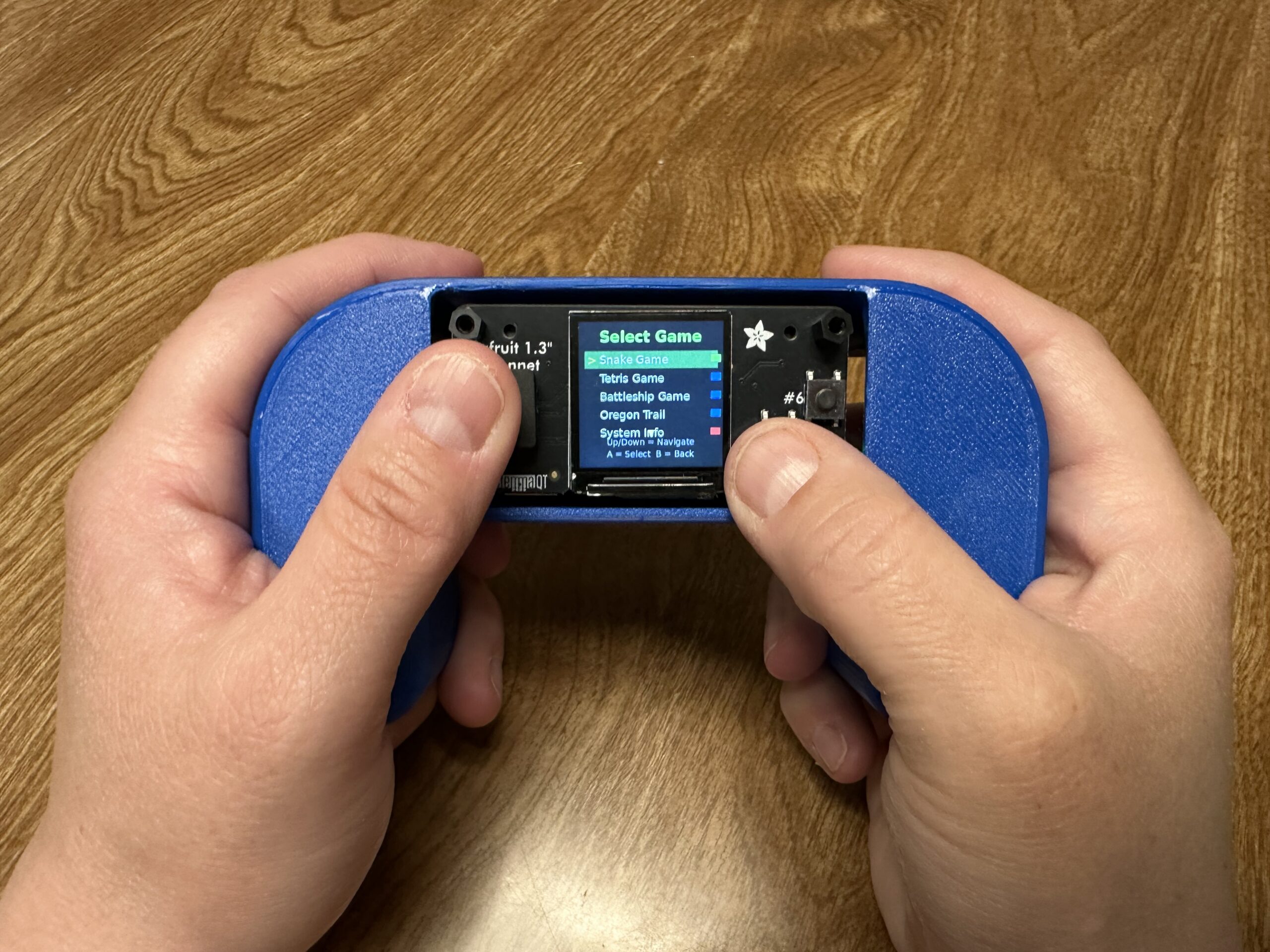 Hands holding the Herman Entertainment System